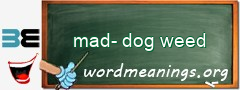 WordMeaning blackboard for mad-dog weed
